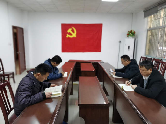 湖南鸟儿巢水电站发电有限乐动网页版_乐动（中国）官方
党支部正式成立