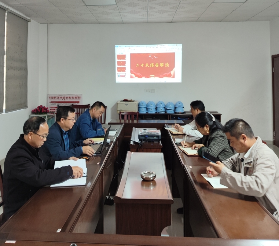 鸟儿巢乐动网页版_乐动（中国）官方
党支部开展“一课一片一实践”主题党日活动
